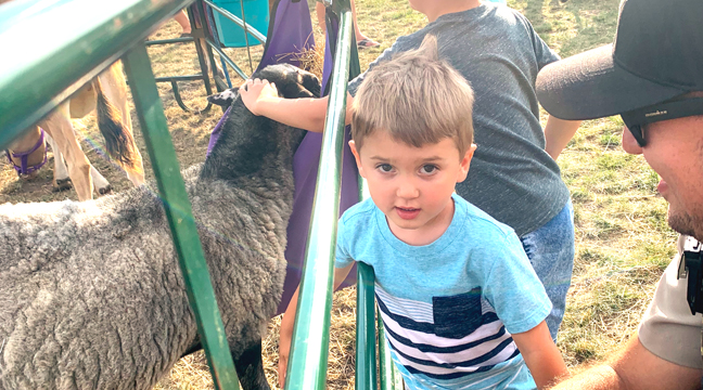 HARRISON HAKALA, 6, and his brother Charlie, reach through the bars to pet the sheep inside. (Photo by Penny Leuthard.)