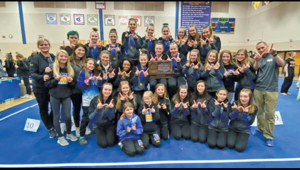 THE BIG LAKE HORNETS gymnastics team captured the Section 7A title last weekend and will compete at state this week in Minneapolis.