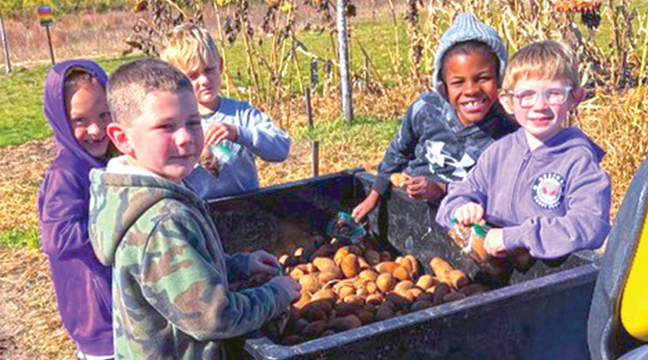 BECKER FIRST GRADERS harvested a trailer-load of potatoes that will be donated to the Becker food shelf. (Submitted Photo).