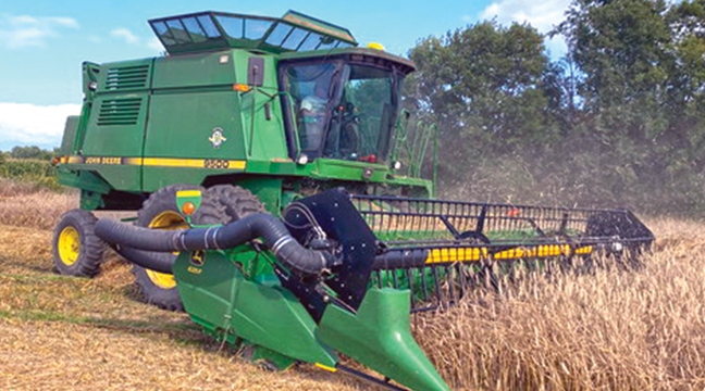 Alex Erickson is pictured combining rye on the Sherburne county line near 
Secords Bridge close to Santiago Township. Erickson works for Lee and Dorothy Gilyard and their son Tom and his wife, Peggy. (Submitted Photo).