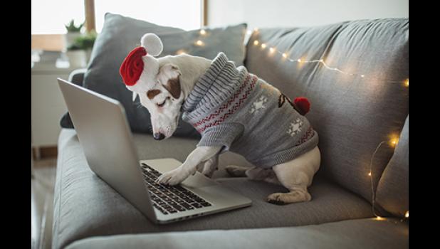 ONLINE SHOPPERS are encouraged to add extensions to ones browser to add additional searches when accessing websites for shopping. It’s dog-gone easy! (Submitted Photo)