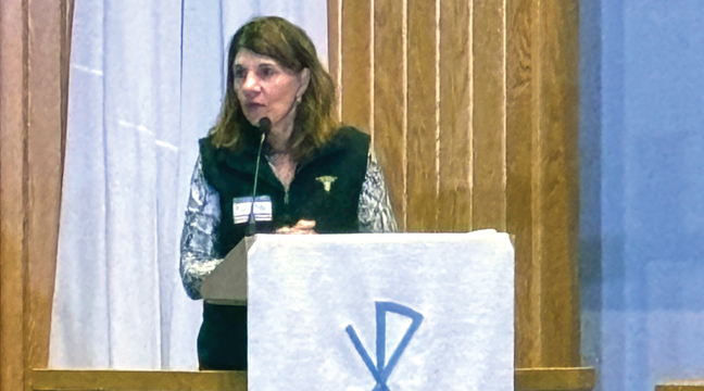Kathy Friedrich (L) speaks to those who are gathered. Big Lake American Legion Post 147 presents the colors (next photo).  (Patriot photo by Don Bellach). 