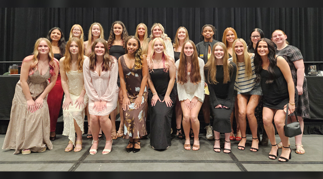 THE BIG LAKE VOLLEYBALL TEAM made the state tournament by defeating Zimmerman in five games to win the Section 5AAA Championship a week ago and then moved on to play a minimum of two matches to start their state tournament run. Unfortuantely, the Hornets were eliminated last Friday when they lost to Sauk Rapids Rice. (Submitted Photo).