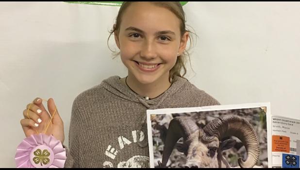 MACIE GROTH headed to the state fair for the first time, where she was awarded a blue ribbon, after winning reserve grand champion at the Wright Co. Fair for her photograph of a ram. Groth is a member of the Northern Peaks 4-H club. (Submitted Photo)