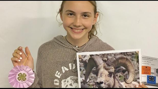 By Penny Leuthard,  Staff Writer  Although the Wright Co. Fair wrapped up last Sunday, area residents are still talking about the fun they had and the events they participated in. A number of them will be headed to the state fair at the end of August. Clearwater resident Debbie Coan received a red ribbon on her muffins, a blue ribbon on her sugar cookies, and a blue on her apple pie, which she made from apples given to her from Ron Gohman. “I make a lot of pies to give away,” said Coan. “When I use apples f