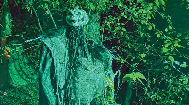 An effective scarecrow. (Patriot Photo by Don Bellach)