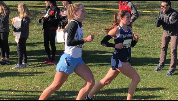 BULLDOGS GIRLS CROSS COUNTRY RUNNER Lexi Dehmer ran one of her best times at the Section  8AA championship meet last Thursday, earning herself the chance to compete at state this week. (Submitted Photo)